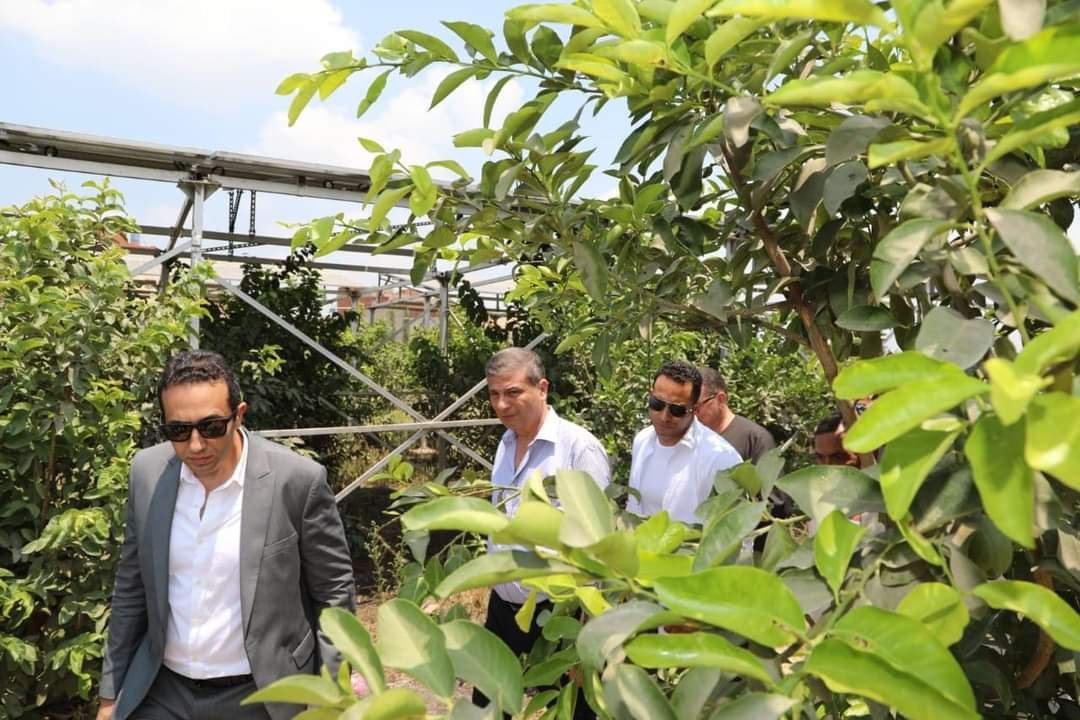 وزير الزراعة يتفقد في دمنهور حقول إرشادية لنظم الري الحديث باستخدام الطاقة الشمسية