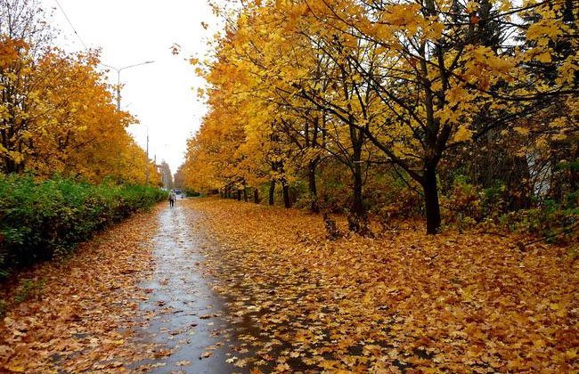 “الزراعة” اليوم انتهاء فصل الصيف فلكيًا ورسميًا