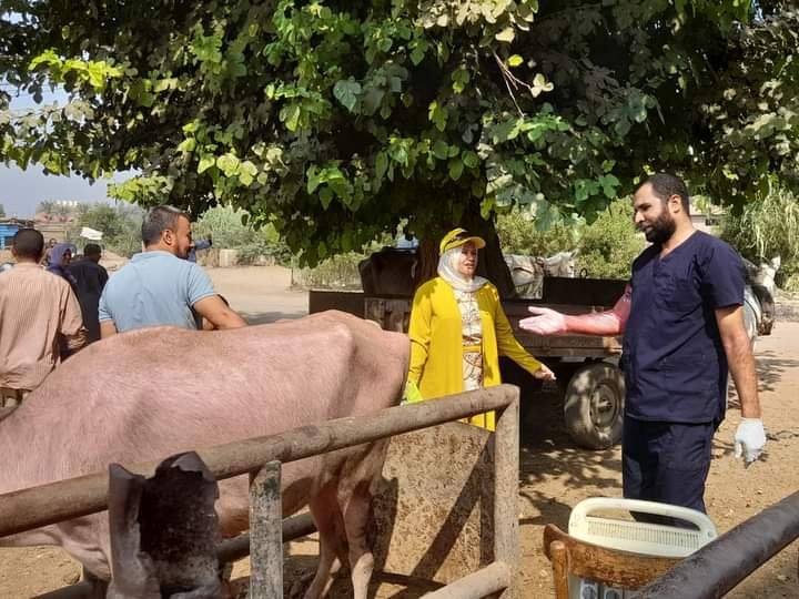 بحوث التناسليات الحيوانية تطلق حملات من القوافل الارشادية بمحافظتى المنوفية والقليوبية