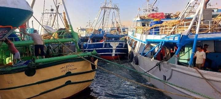 “تنمية البحيرات” يعلن إنطلاق موسم الصيد 2024 في خليج السويس بعد توقف 4 أشهر