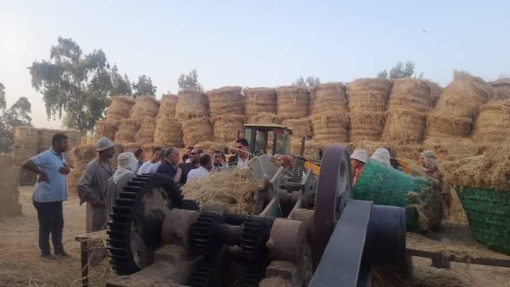 الزراعة والبيئة يواصلان متابعة منظومة جمع وتدوير قش الأرز ومكافحة السحابة السوداء بالدقهلية
