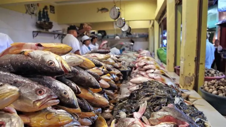 استقرار أسعار الأسماك بالسوق المحلية والبلطي يسجل 93 جنيه