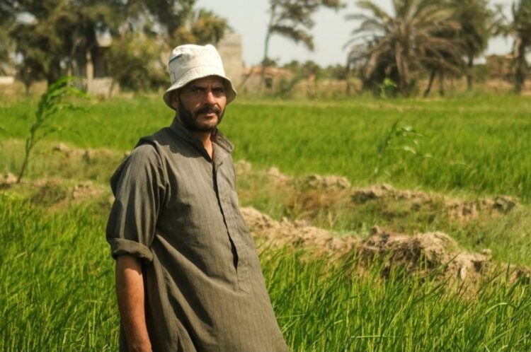“الإرشاد الزراعي”: الفلاح المصري ضمان لتحقيق الأمن الغذائي