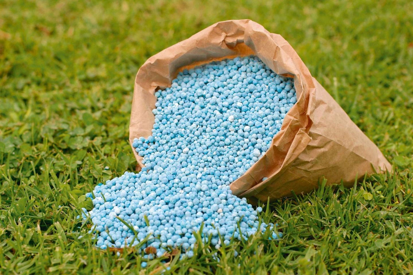 الزراعة: تعليق دعم الأسمدة مؤقتًا لحين البت القضائي حيال سارقي الكهرباء والتعدي على الأراضي الزراعية