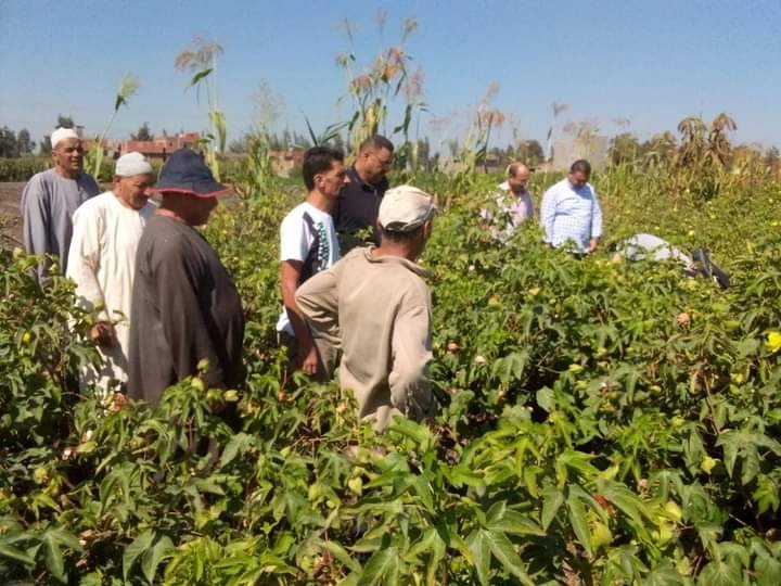 البحوث الزراعية يستعرض حصاد أنشطة مبادرة المراكز الإرشادية الزراعية خلال شهر سبتمبر 2024