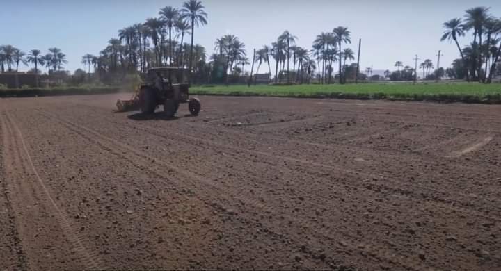 برنامج المنح الصغيرة ينفذ مشروعات رائدة للحد من تدهور الأراضي ومكافحة التصحر في الصعيد والدلتا