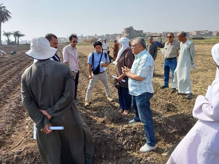 “المركزية للإرشاد الزراعي” تكثف حملات دعم وتوعية المزارعين في جميع المحافظات