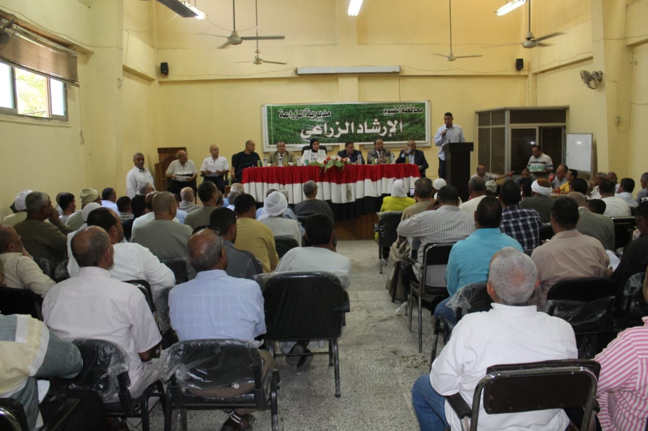 انطلاق موسم تسويق القطن 2024/2025