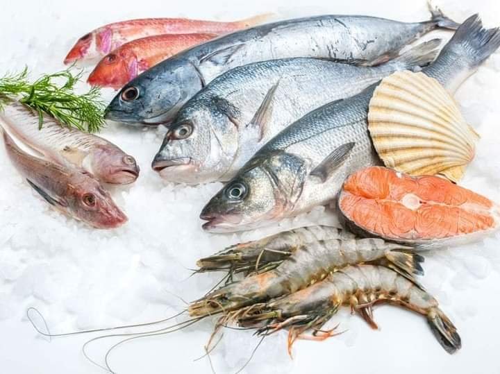 سلامة الغذاء تعلن إعادة فتح باب تصدير الأسماك لدول الاتحاد الأوروبي بعد توقف دام ثلاث سنوات..