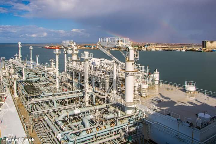 ميناء دمياط يستقبل 8 سفن خلال الـ 24 ساعة الماضية