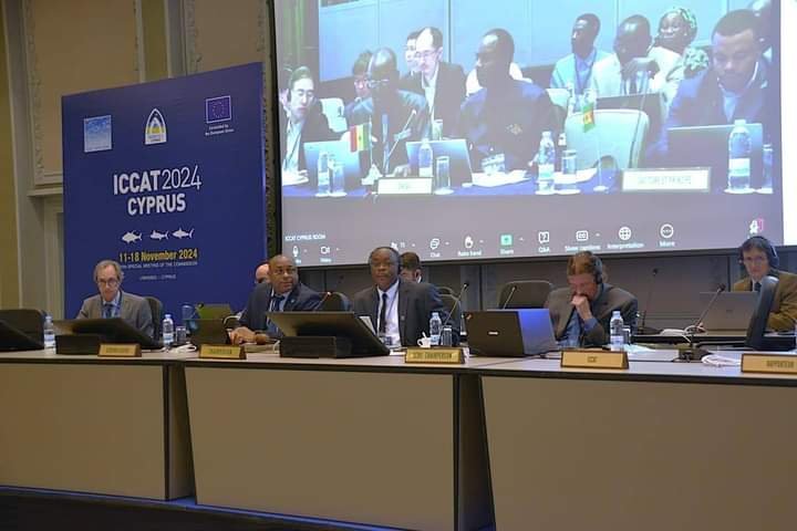 “حماية البحيرات”: حصول مصر على حصة من أسماك أبو سيف بالبحر المتوسط إنجاز غير مسبوق