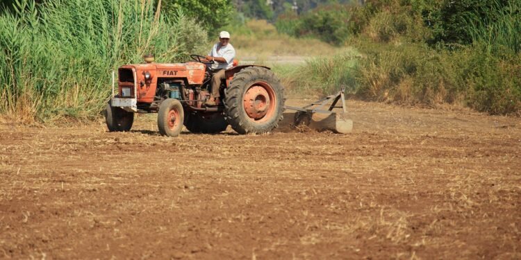 “خبير”: الدولة المصرية بذلت الكثير من الجهود لدعم الفلاح المصري