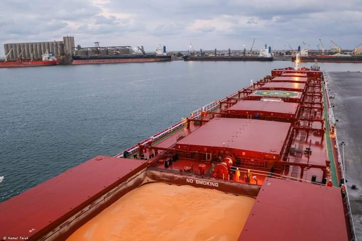 ميناء دمياط يستقبل 11 سفينة خلال الـ 24 ساعة الماضية