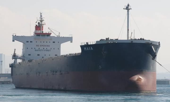 ديانا شيبنج تصلح كامسارماكس مع بارالوس شيبنج