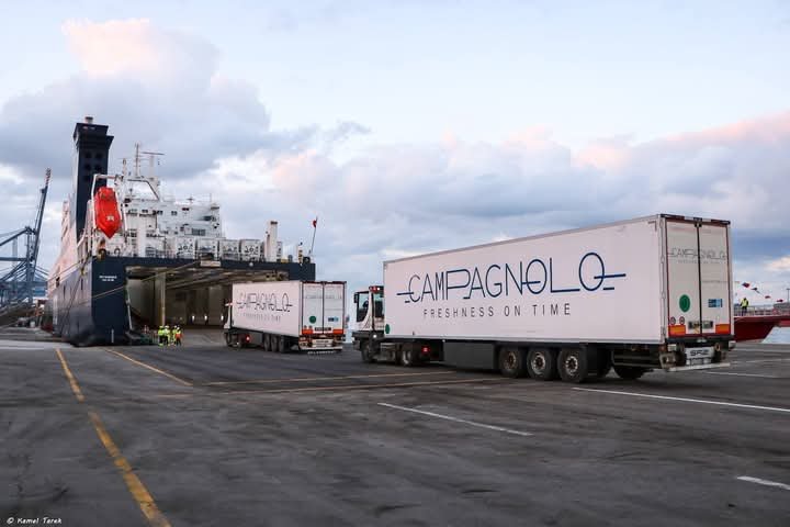 ميناء دمياط يستقبل 11 سفينة خلال الـ 24 ساعة الماضية