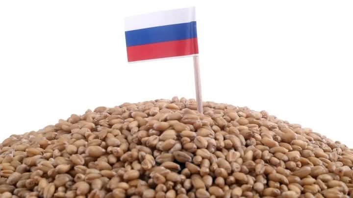 سفينة ثانية محملة بالقمح تغادر روسيا.. ومصر وجهتها وتزن 54 ألف طن