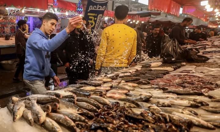 للوصول بالصادرات لـ150 مليار دولار.. تجارية بورسعيد تطالب بتصدير الأسماك لأوروبا