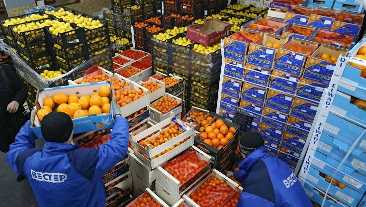 “سلامة الغذاء”: 160 ألف طن صادرات غذائية في أسبوع والسعودية أكبر المستوردين