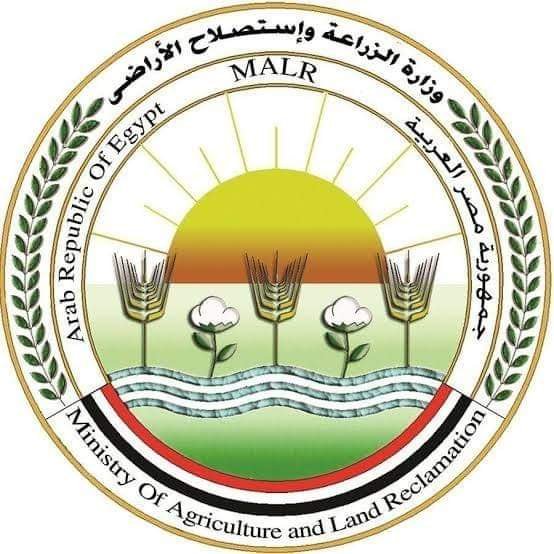 وزارة الزراعة: نسخة استثنائية من معرض زهور الربيع في دورته الـ92 بالمتحف الزراعي في الدقي