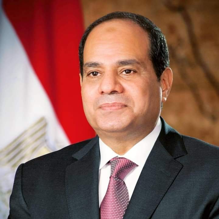 الرئيس السيسي يبحث التعاون مع المنظمة البحرية الدولية في مجال النقل البحري والهيدروجين الأخضر