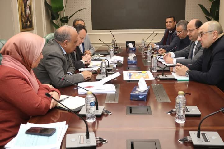 وزيرا الكهرباء وقطاع الأعمال يبحثان التعاون في الطاقة المتجددة والتحول الأخضر