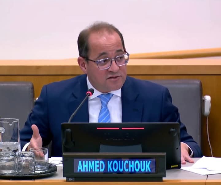 وزير المالية: نطالب بمضاعفة الجهود الدولية لدعم التمويل التنموي وخفض أعباء الديون