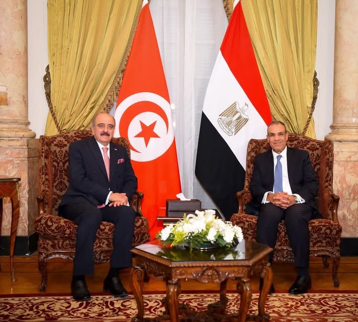 وزيرا خارجية مصر وتونس يبحثان التعاون الثنائي وتطورات القضية الفلسطينية