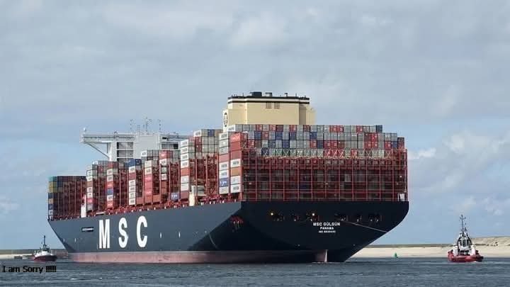 بداية من 2 أبريل المقبل.. شركة msc ترفع نوالين الشحن للحاويات المبردة من مصر إلى الشرق الأقصى والأوسط