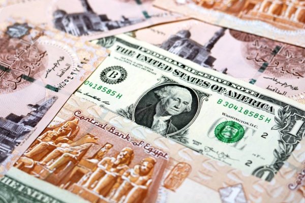 سعر الدولار مقابل الجنيه المصري في تعاملات اليوم الإثنين