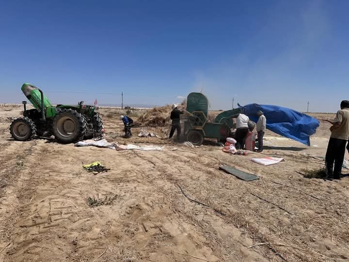 وزير الزراعة يتابع جهود “بحوث الصحراء” و”الزراعة الآلية” في حصاد القمح والشعير بشمال وجنوب سيناء