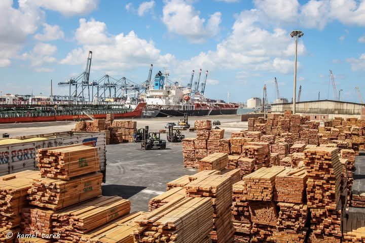 ميناء دمياط يستقبل 12 سفينة ويُصدر أكثر من 56 ألف طن بضائع عامة خلال 24 ساعة