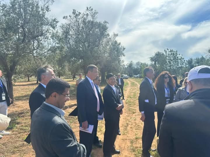 وزير الزراعة يشارك في زيارة ميدانية بمزارع الزيتون المصابة ببكتيريا “الزيليلا” في إيطاليا