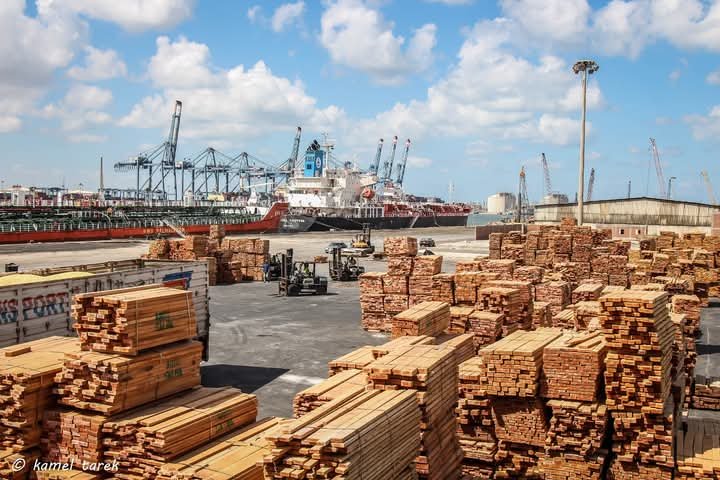 ميناء دمياط يستقبل 11 سفينة ويصدر أكثر من 32 ألف طن بضائع عامة خلال 24 ساعة