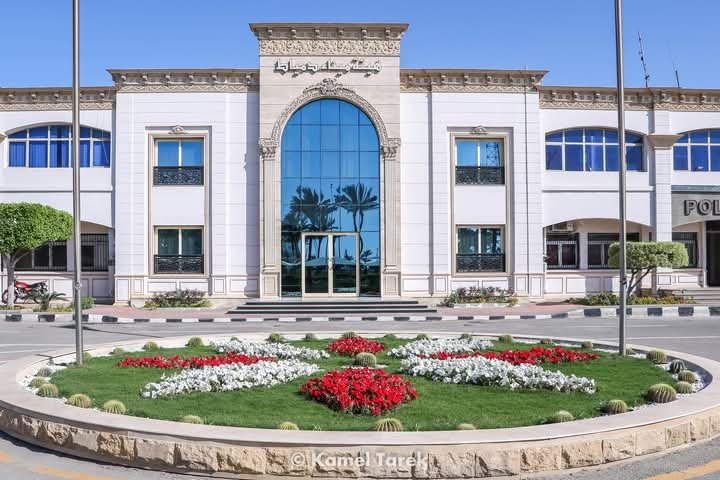 21 سفينة بميناء دمياط.. واستمرار تدفق البضائع والحاويات والماشية