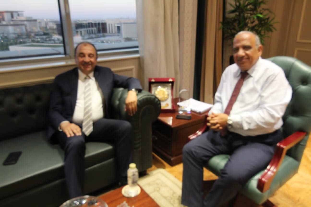 وزيرا الكهرباء وقطاع الأعمال يبحثان التعاون في مجالات تحسين كفاءة الطاقة