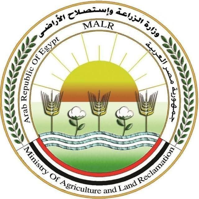 “الزراعة” تطلق أعمال الحملة القومية لتحصين الماشية ضد مرضي الحمى القلاعية
