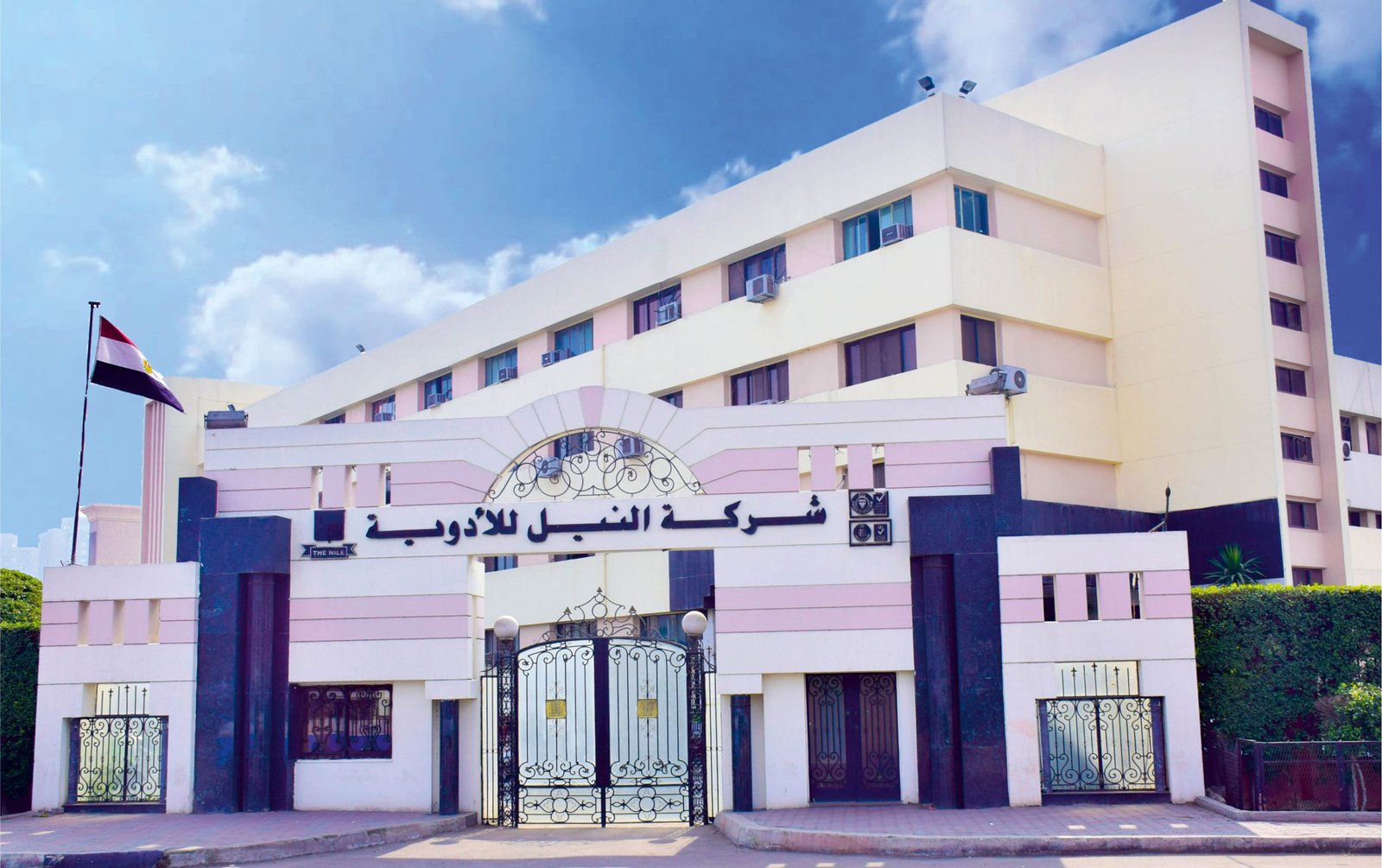أرباح النيل للأدوية تقفز إلى 169.4 مليون جنيه في 4 أشهر