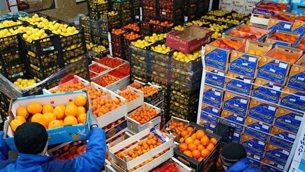 ارتفاع صادرات مصر الزراعية إلى 8.8 مليون طن في 2025
