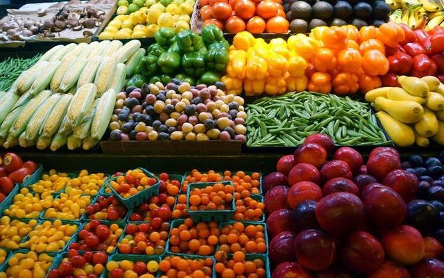ارتفاع الصادرات الزراعية المصرية إلى 8.8 مليون طن مع زيادة 750 ألف طن عن العام الماضي