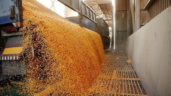 احتياطي القمح في العراق يكفي حتى نهاية 2026 مع تعزيز المخزون الاستراتيجي لعام 2027