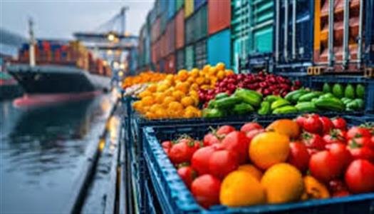 مصر تصدر أكثر من 8100 رسالة غذائية في أسبوع واحد