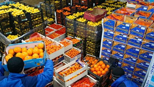 ارتفاع صادرات مصر الغذائية إلى 266 ألف طن خلال أسبوع